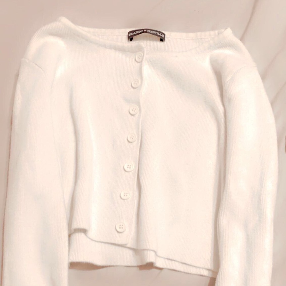 Long sleeve brandy crop top